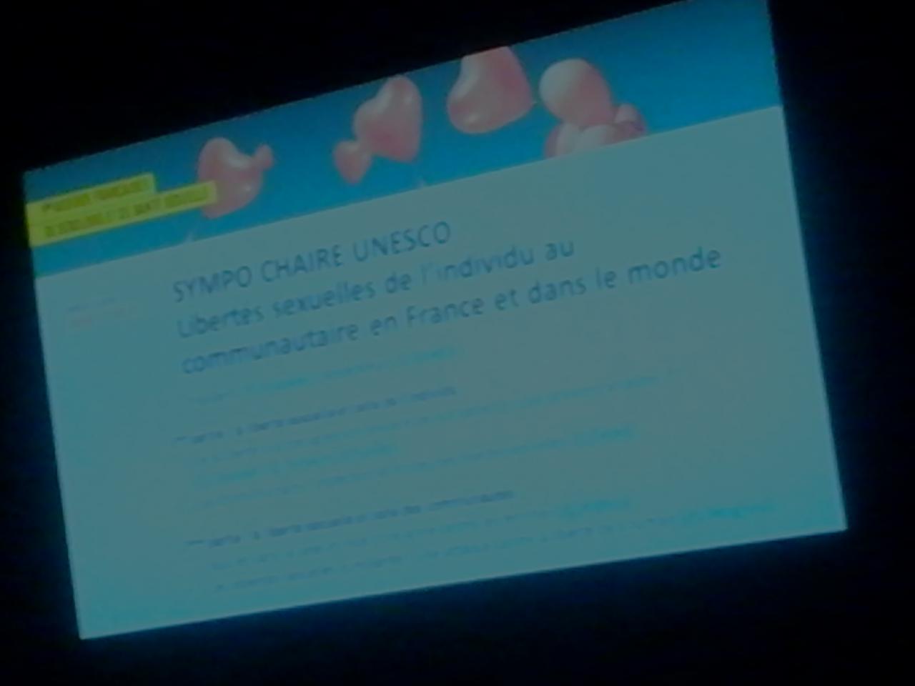 Séance plénière sur les libertés sexuelles - UNESCO